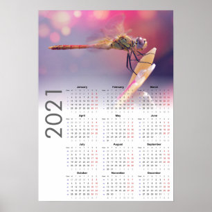 Calendário de Libélula 2021 Poster - início na seg