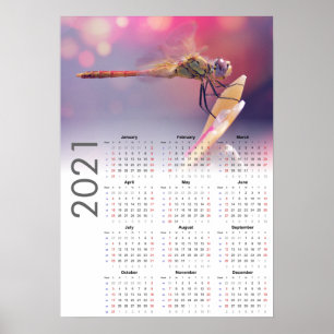 Calendário de Libélula 2021 Poster - início no dom