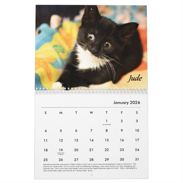 Calendário de Local da Tabby (Jan 2026)