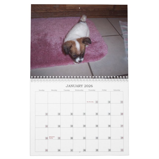 Calendário de Maggie Mae 2010 (Jan 2026)