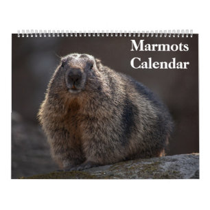 Calendário de Marmotas 2027