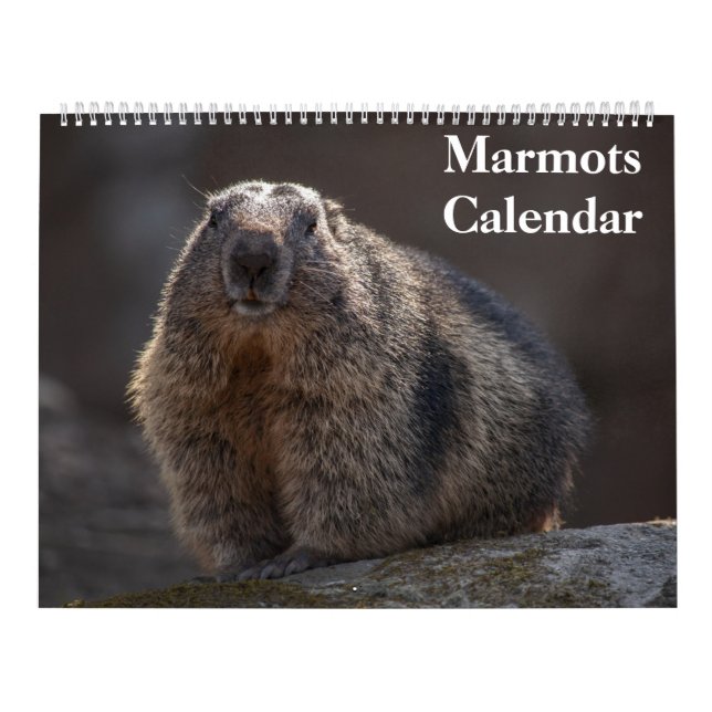 Calendário de Marmotas 2027 (Capa)