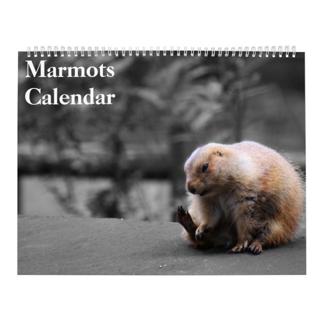 Calendário de Marmotas 2027 (Capa)