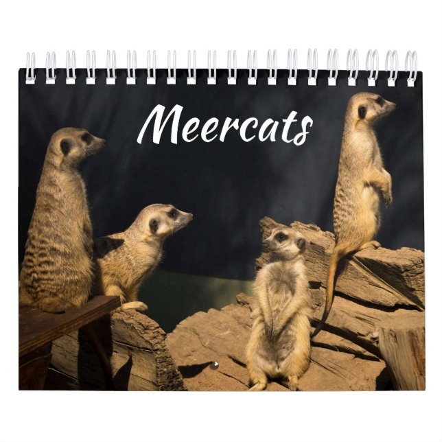 Calendário de Meercats (Capa)