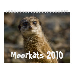 Calendário de Meerkats 2010