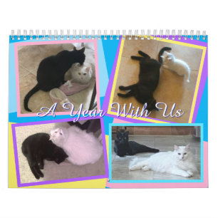 Calendário de Meus Gatos