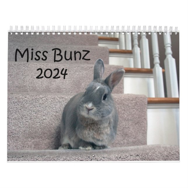Calendário de Miss Bunz 2024 (Capa)