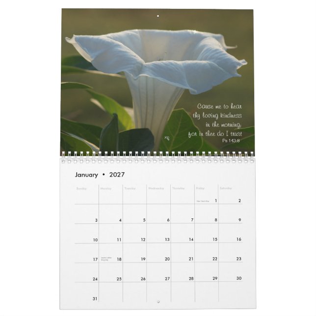 Calendário de Moonflower---ANO do EDIT como (Jan 2027)