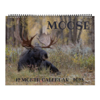 Calendário de Moose - Tamanho Grande
