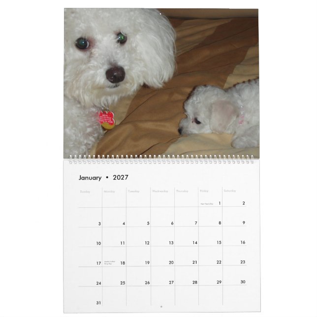 Calendário de Muffie e de Snowie 2008 (Jan 2027)