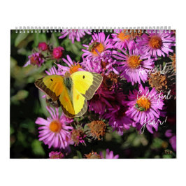 Calendário de Muro de Ano Colorido