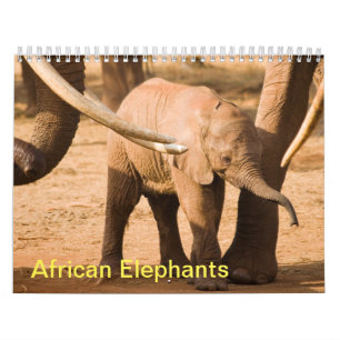 Calendário de Muro de Elefantes Africanos