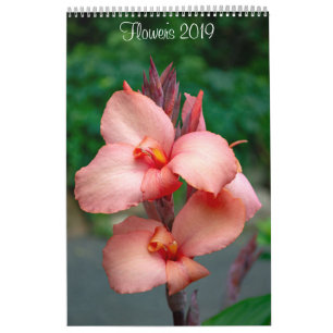 Calendário de Muro de Flores de 2019 por Lisa Bla