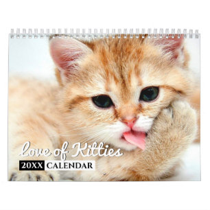 Calendário de Muro de Fotografias de Gatinhos