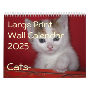 Calendário de Muro de Impressão Grande 2025 - Gato