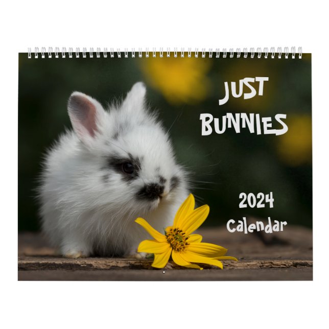 Calendário de Muro Grande de Bunnies 2024 (Capa)