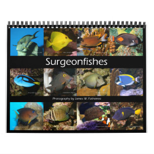 Calendário de Muros de Surgeonfishes por J.W. Pai.