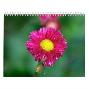 Calendário de Natureza