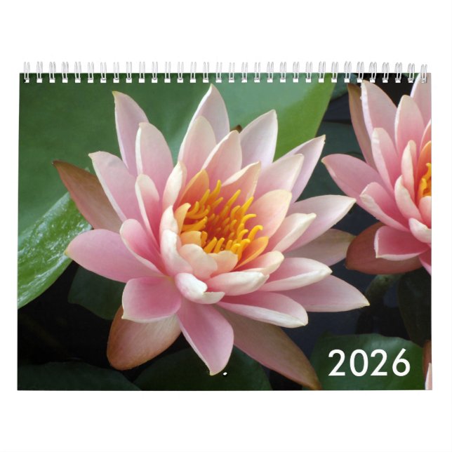 Calendário de Nenúfares 2026 (Capa)