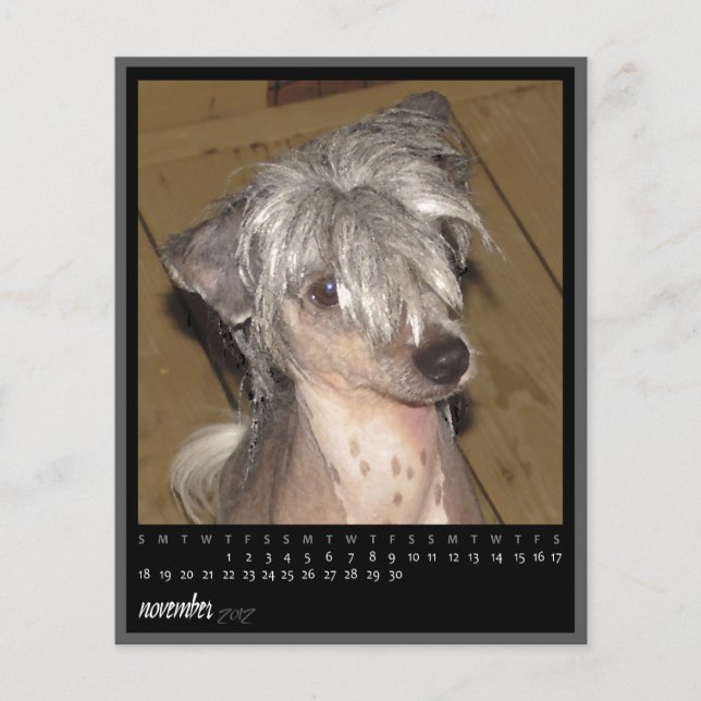 calendário de novembro de 2012 (Frente)