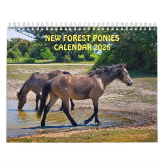 Calendário de Novos Pôs Florestais
