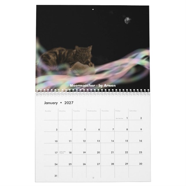 calendário de Obernewtyn.net 2011 (Jan 2027)