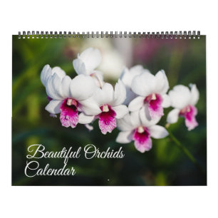 Calendário de Orquídeas de Grande Tamanho
