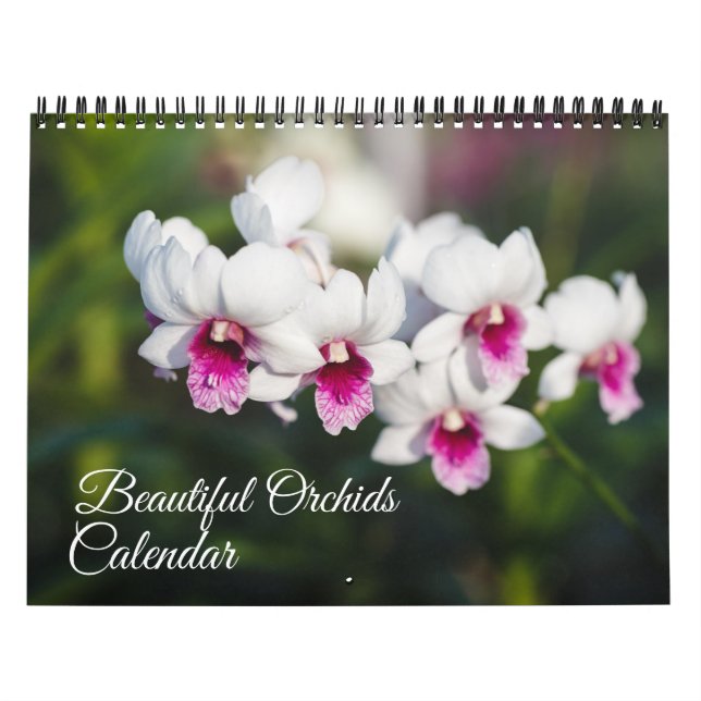 Calendário de Orquídeas de Tamanho Médio (Capa)