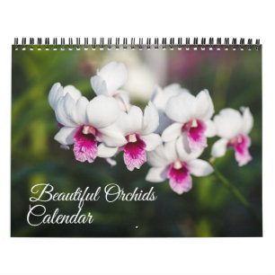 Calendário de Orquídeas de Tamanho Médio