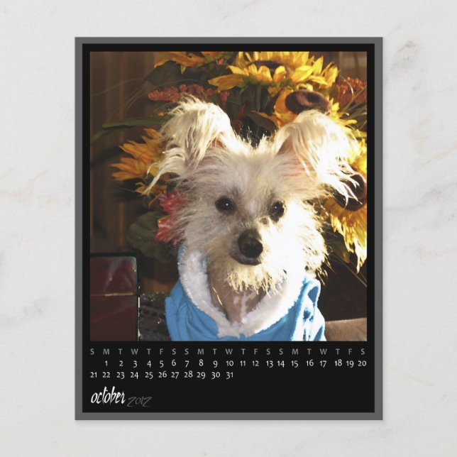 calendário de outubro de 2012 (Frente)