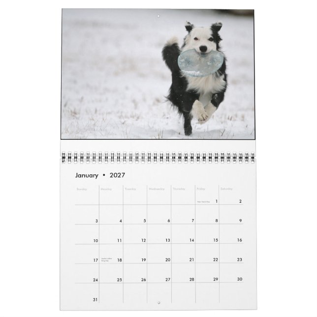 Calendário de Ouzo 2010 (Jan 2027)