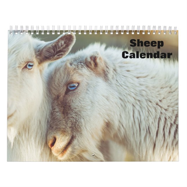 Calendário de ovelhas 2027 (Capa)