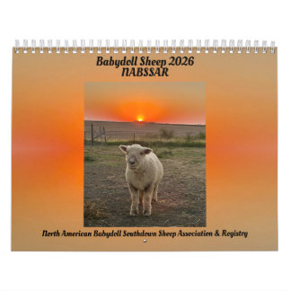 Calendário de Ovelhas Babydoll Southdown 2026 NABS