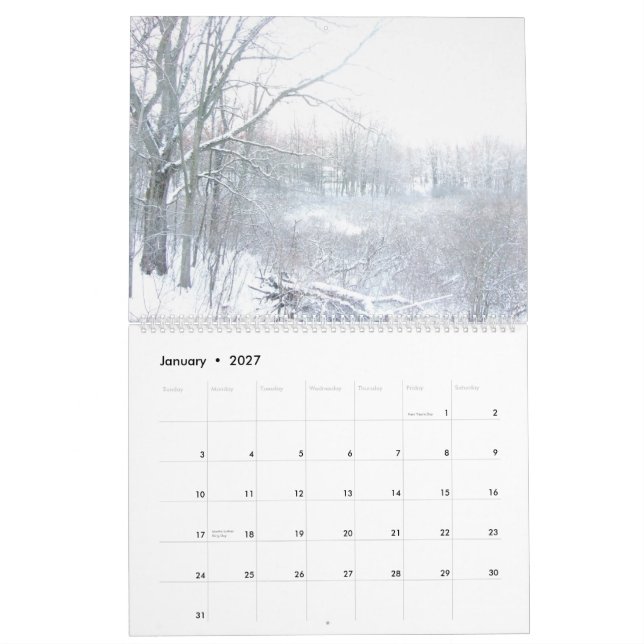 Calendário de Paisagem e Floral de Todas as Estaçõ (Jan 2027)
