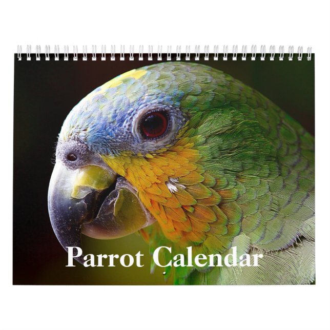 Calendário de Papagaio 2027 (Capa)