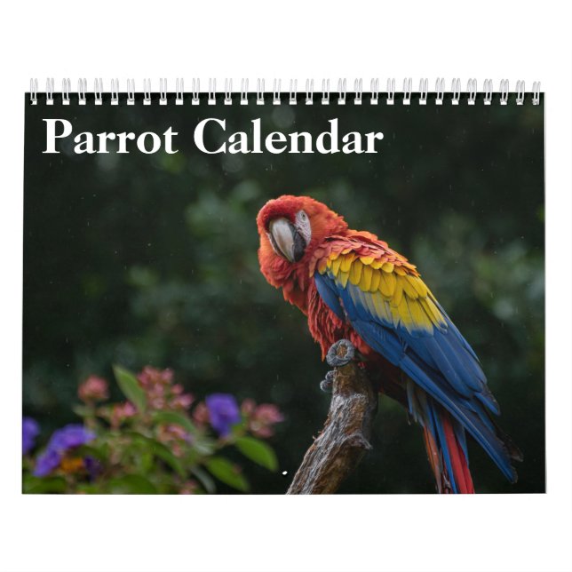 Calendário de Papagaio 2027 (Capa)