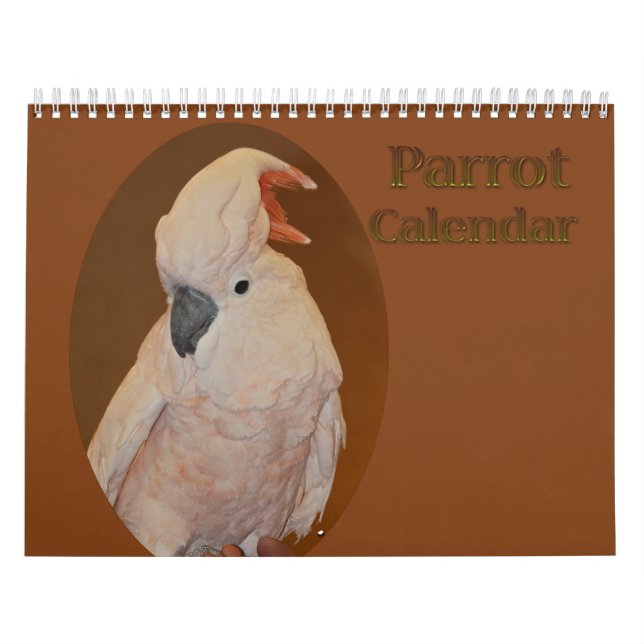 Calendário de Papagaio Colorido (Capa)