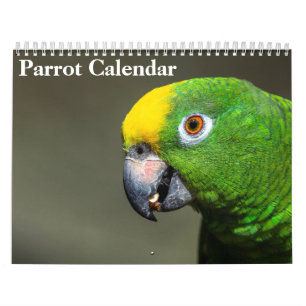 Calendário de Papagaios 2027