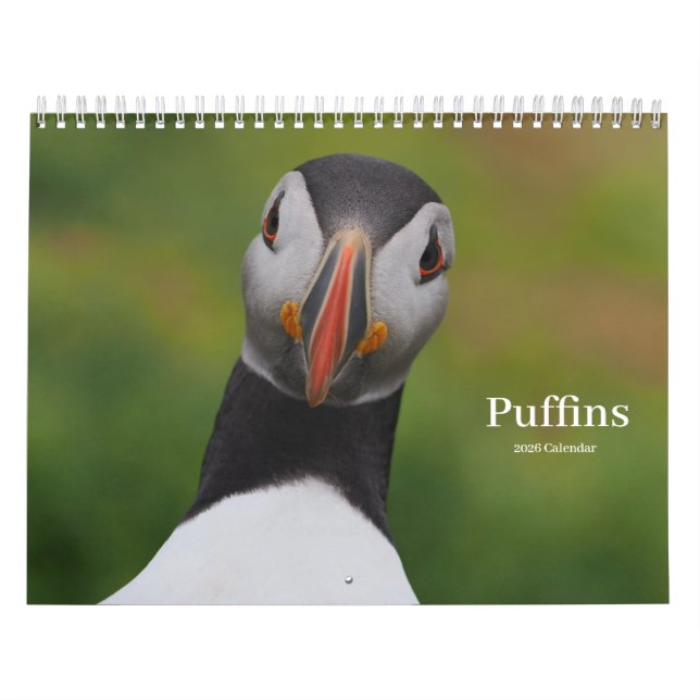 Calendário de Papagaios-do-mar (Capa)