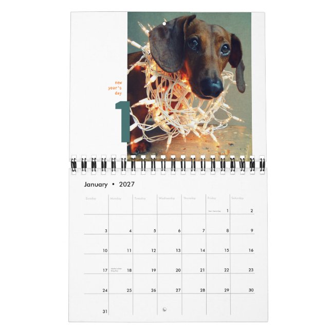 calendário de parede 2012 do dachshund - chumley (Jan 2027)