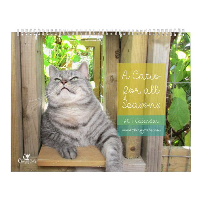 Calendário de parede 2017 do gato (Capa)