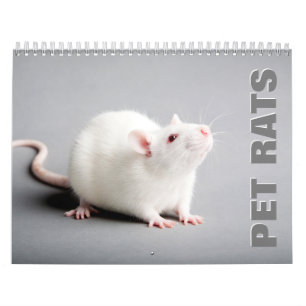 Calendário de Parede 2022 de Ratos Pet