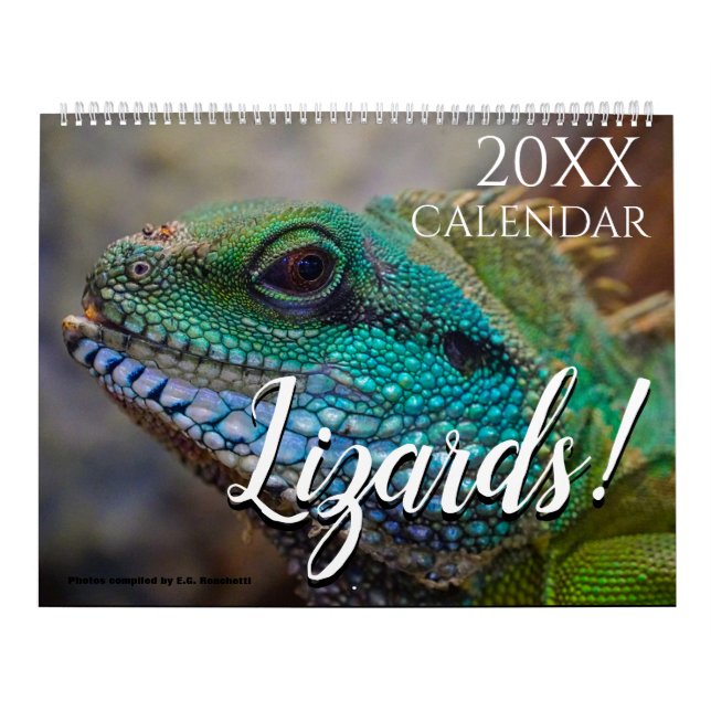 Calendário de Parede 2027 com Tema de Lagarto Pres (Capa)