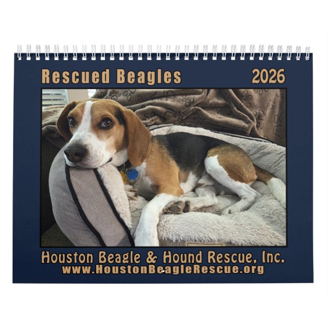 Calendário de Parede Beagles Resgatados 2026 (Capa)