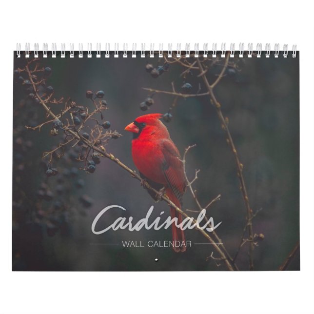 Calendário de parede cardinal (Capa)