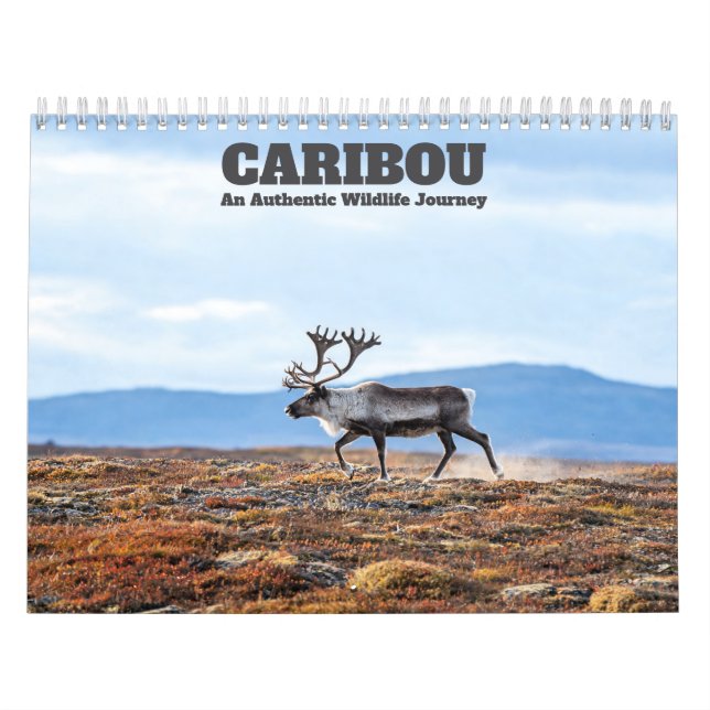 Calendário de Parede Caribou 2027 (Capa)