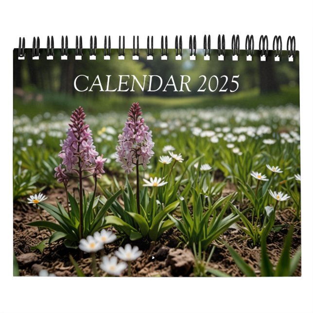 Calendário de Parede Cênico 2025 (Capa)