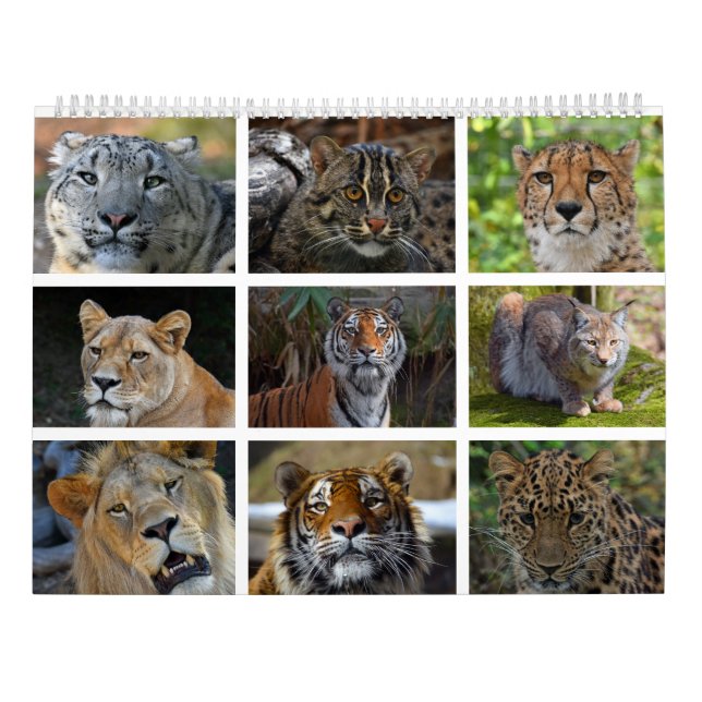 Calendário de parede com as fotos de gatos (Verso)