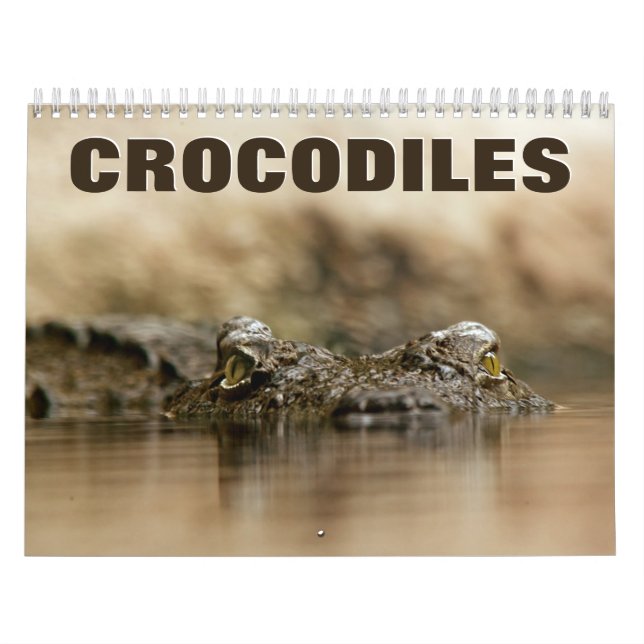 Calendário de Parede Crocodilos (Capa)