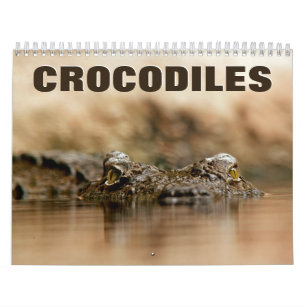 Calendário de Parede Crocodilos